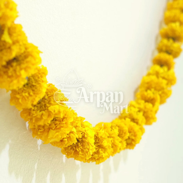 Marigold (Yellow)