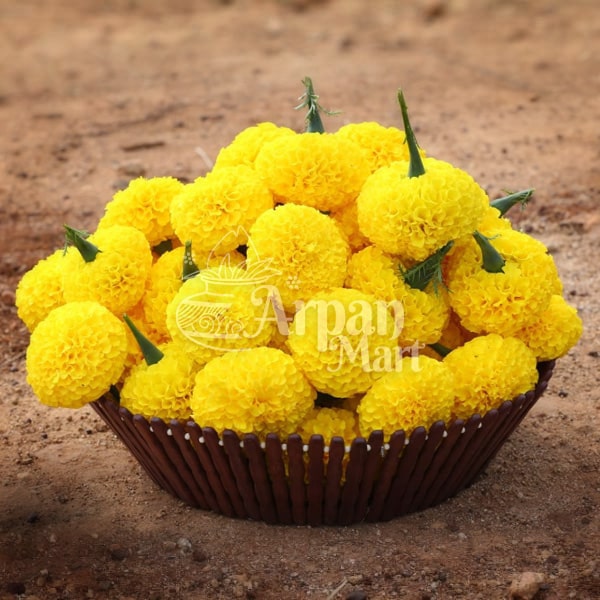 Marigold - Banthi (Yellow)