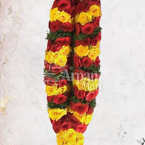 Red & Yellow Button Rose (Green Border)