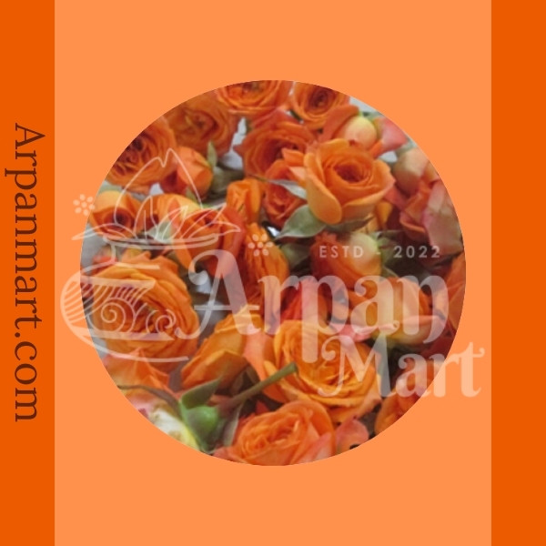 Button Roses (Orange) – ArpanMart