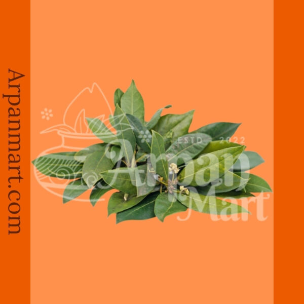 Indian Bay Leaves