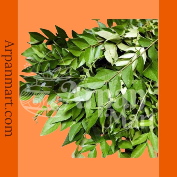 Indian Curry Leaves