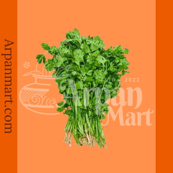 Indian Coriander Leaves