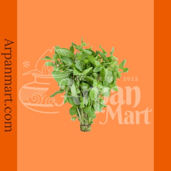 Indian Fresh Mint