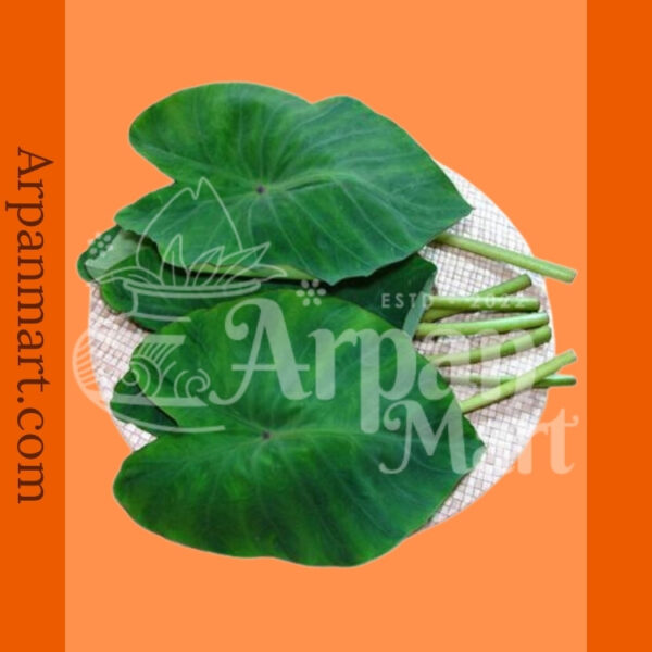 Indian Taro Leaf