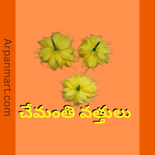 Chamanthi Wicks