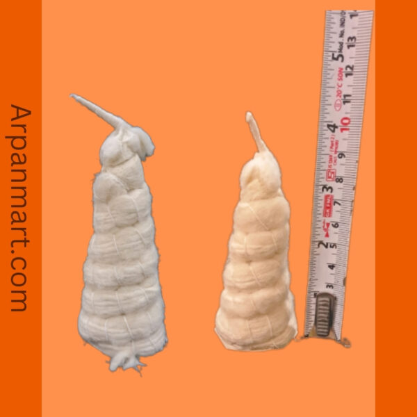 Gopuram Wicks Small