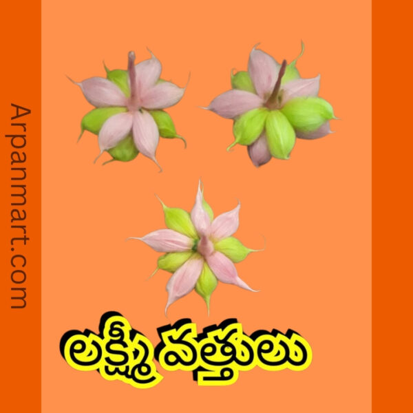 Laxmi Devi Wicks