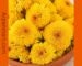 Chamathi-Loose-Yellow.jpg