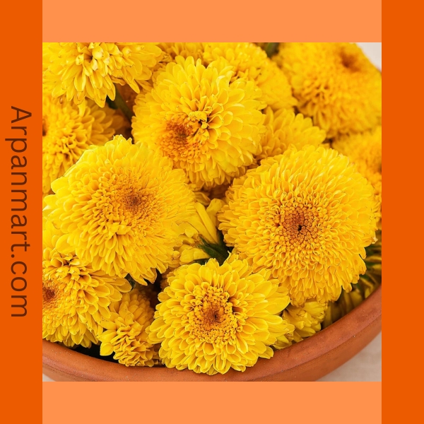 Chamathi-Loose-Yellow.jpg