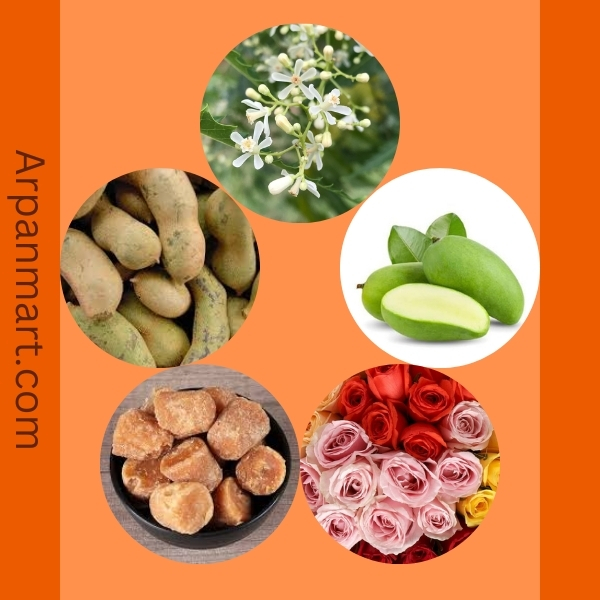 Ugadhi 2026 Special Package