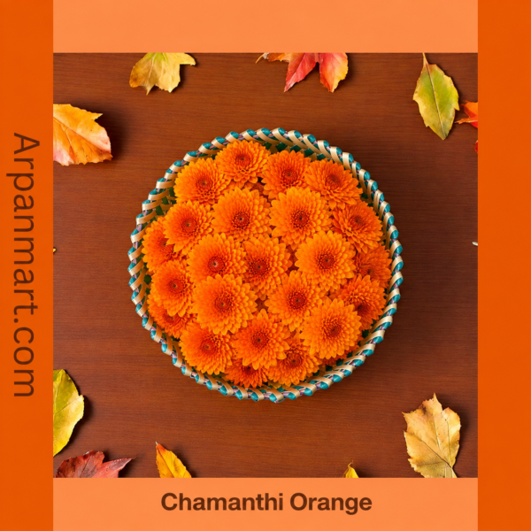 Chamanthi Orange